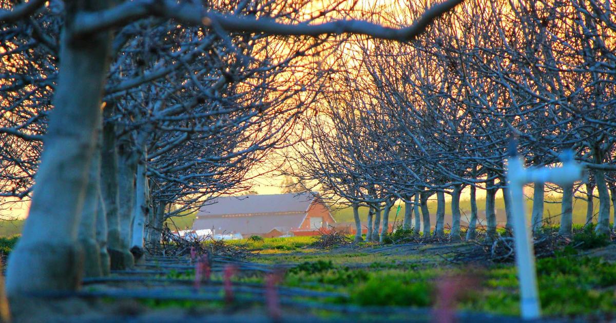 Astra AI for Law : Révolutionner la pratique juridique